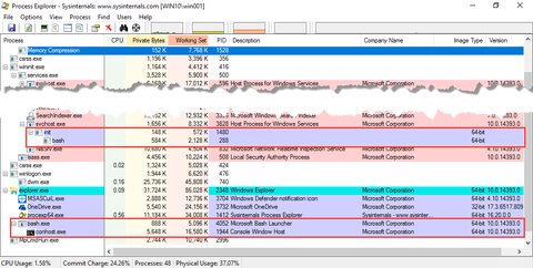 WSL related processes on host