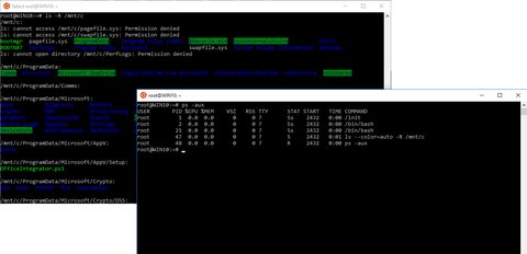 Two Bash Shells running in parallel