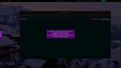 flameshot ready for selection